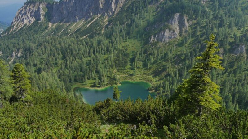 © TVB Ramsau am Dachstein